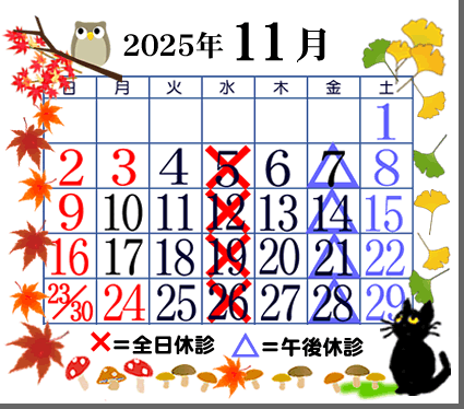 j͑SxfłBj͌ߌxfłBdbF047-464-0021@FAXF047-461-0119